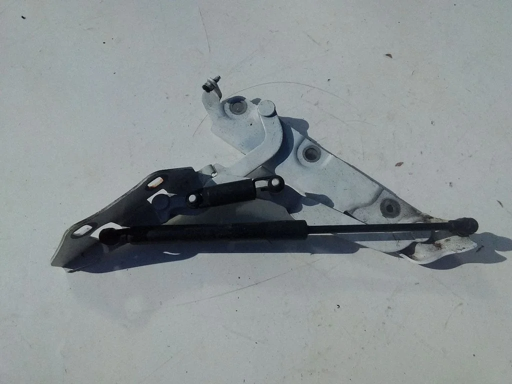 Tailgate/trunk/boot hinge