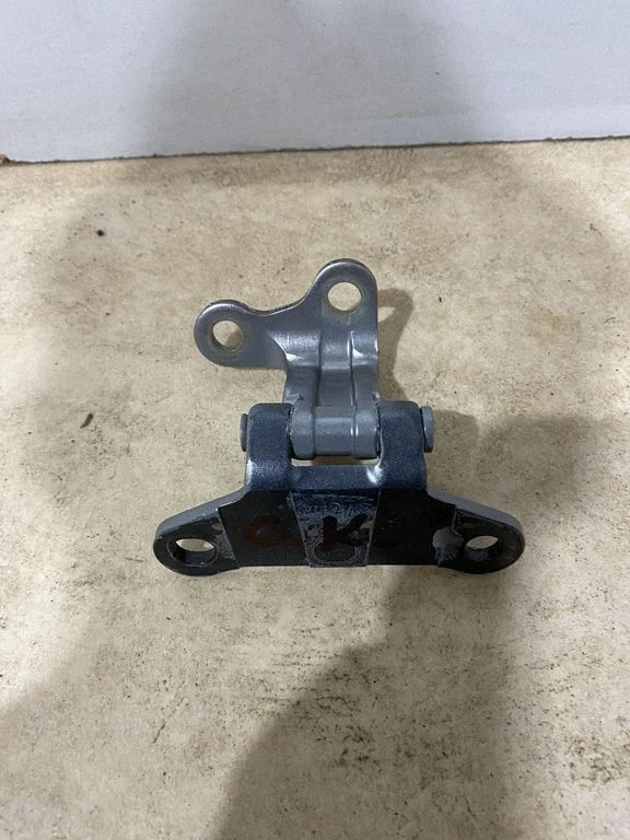 Rear door lower hinge