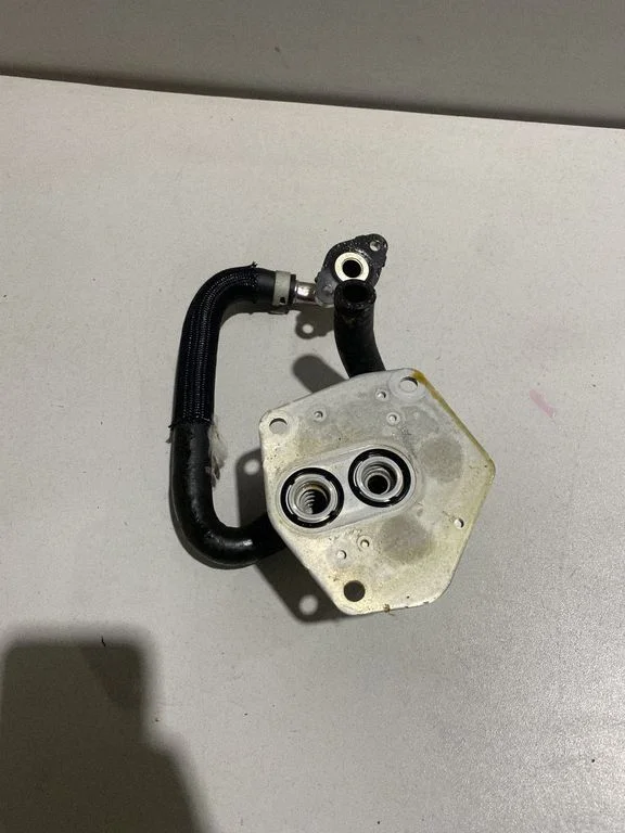 Oil filter mounting bracket