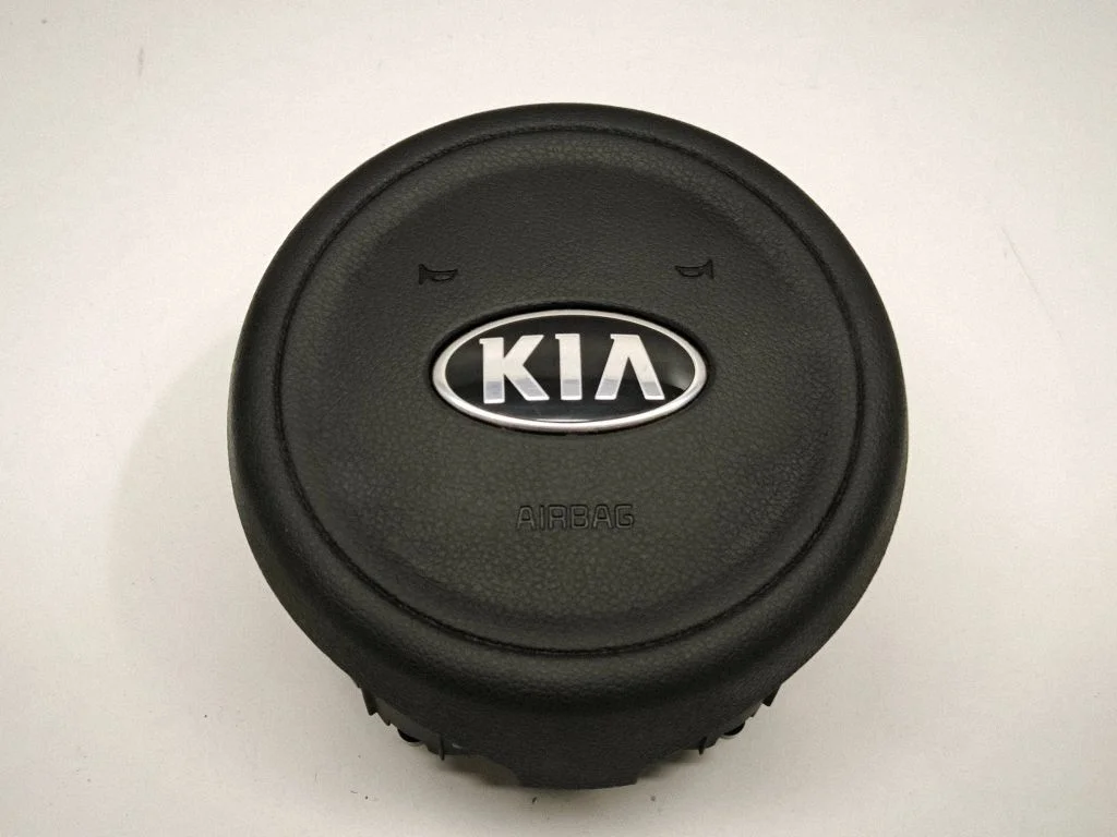 Steering wheel airbag 56900F1000