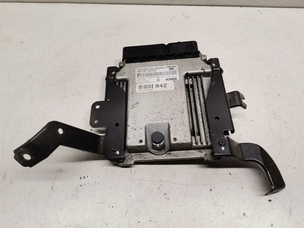 Engine control unit/module 391162F300