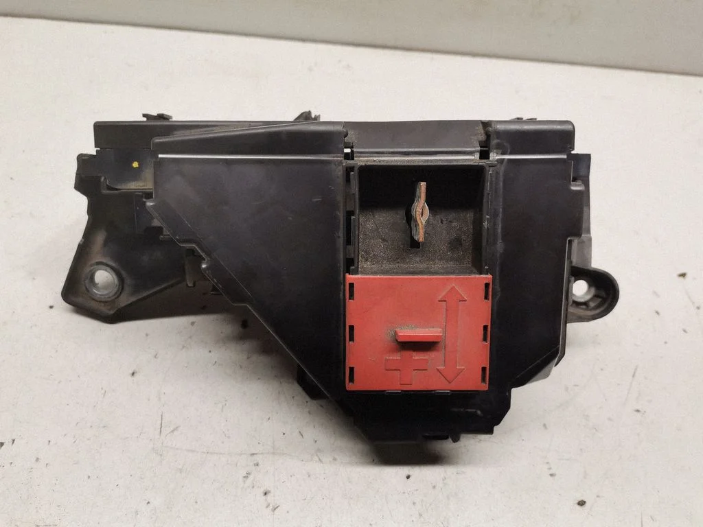 Positive wiring loom A2055402250