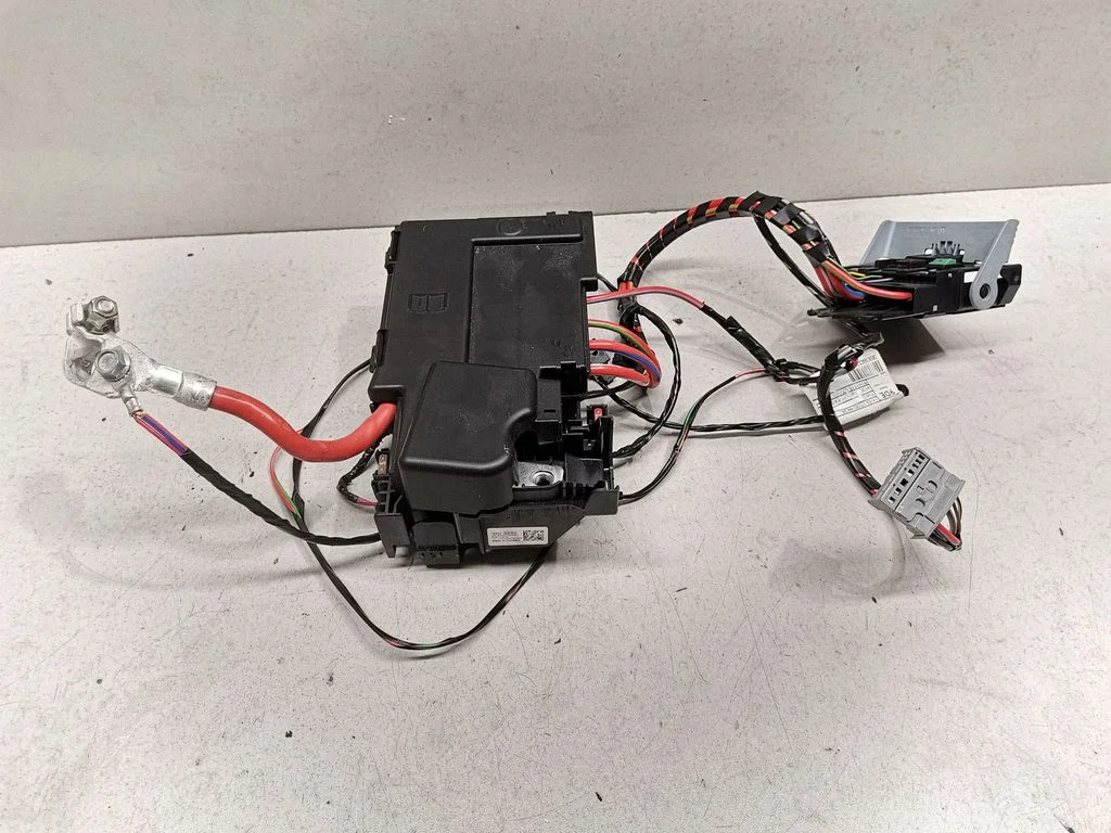 Positive wiring loom 39023242