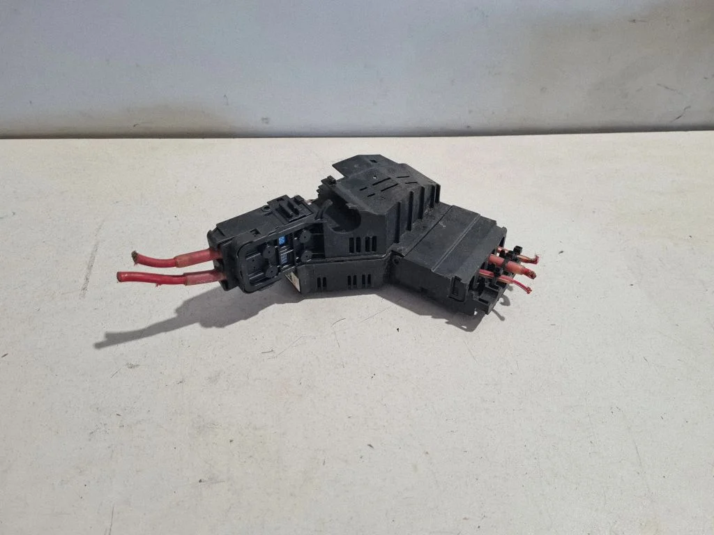 Positive wiring loom A1665405202