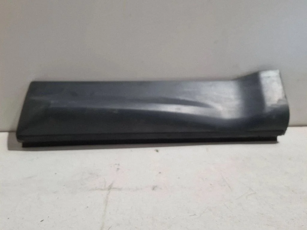 Rear door trim (molding) DGP000231