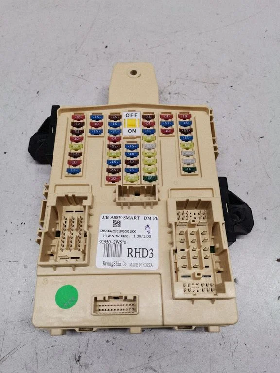 Fuse module 919502W570