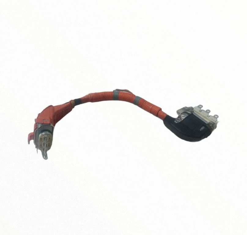 Ignition plug leads G214848080A