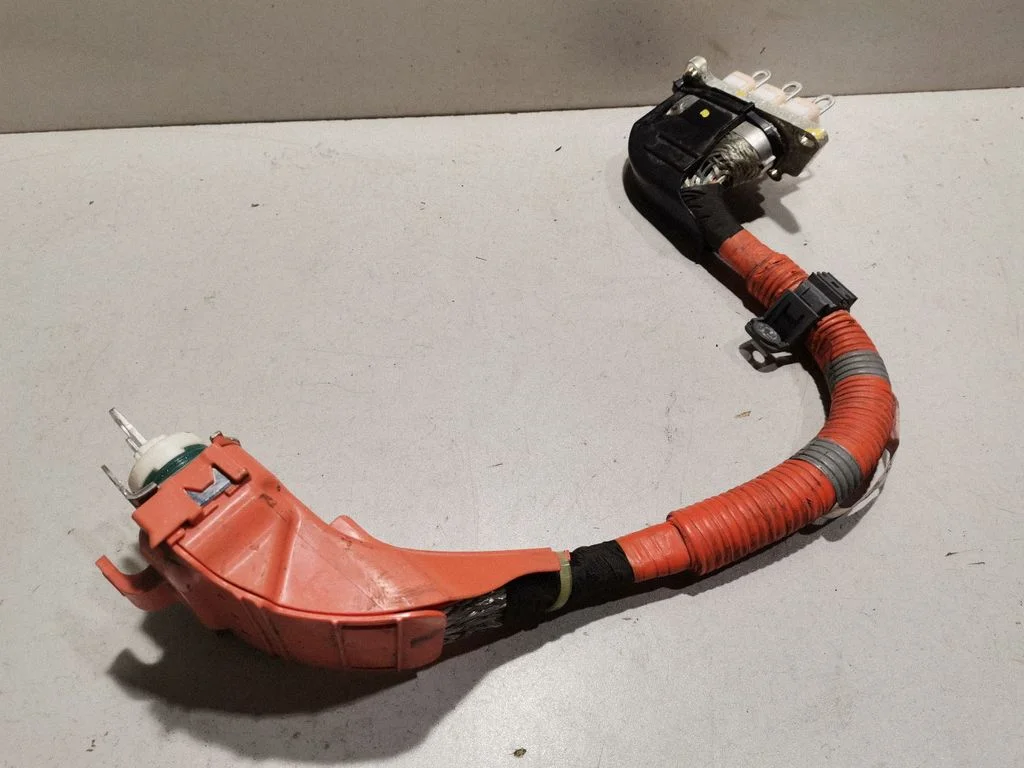 Ignition plug leads G214848080A