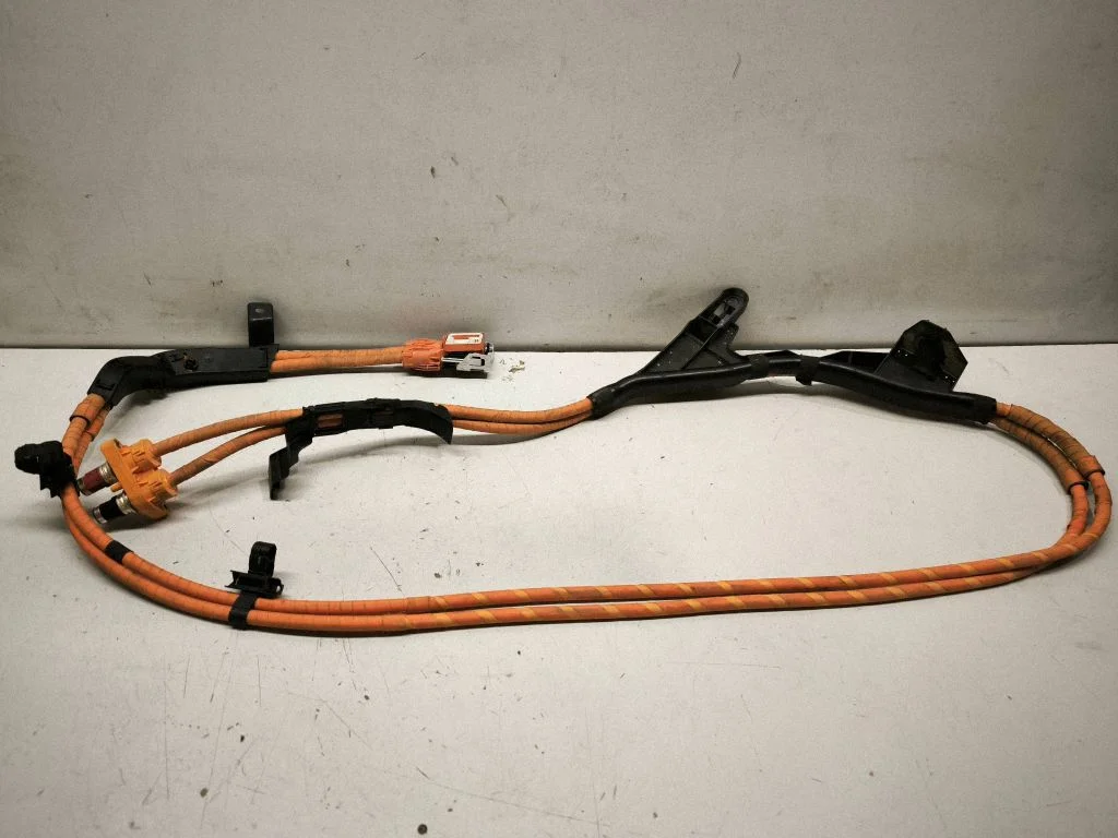 Other wiring loom 300971896A