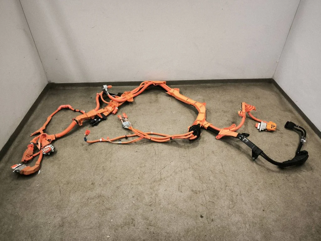 Other wiring loom 821H148300