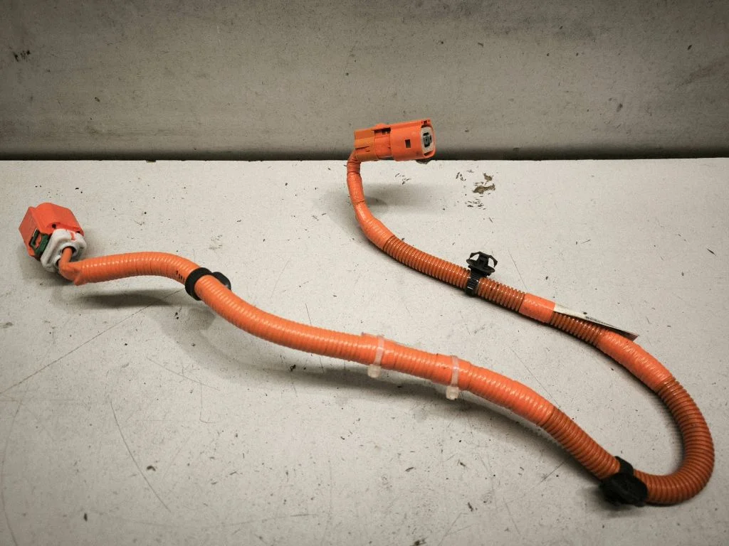 Other wiring loom 821H248050