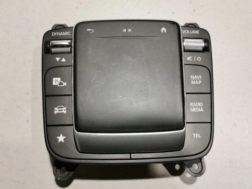 Head unit multimedia control A2479003903