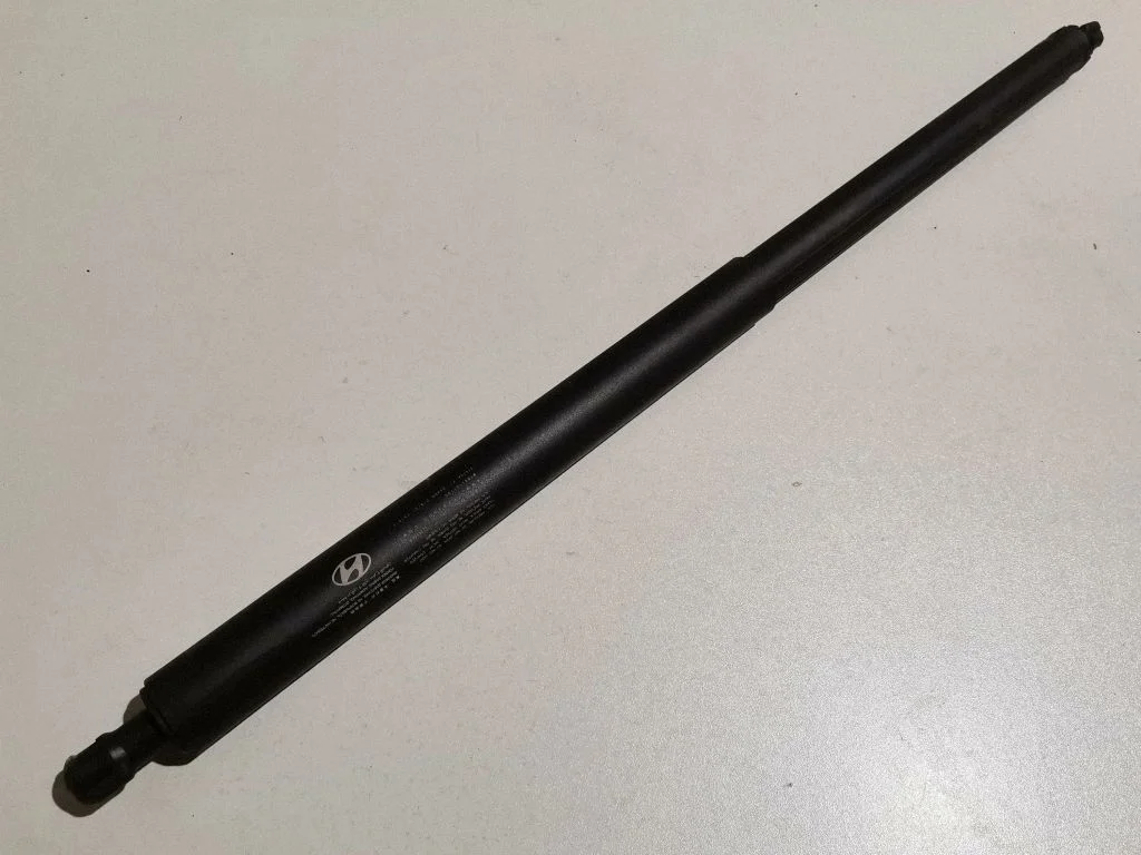Tailgate strut 81841GI100