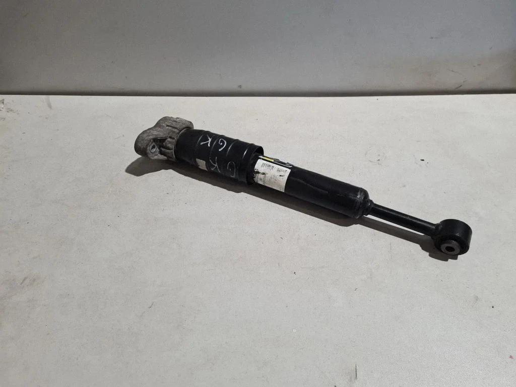 Rear shock absorber/damper 06700041860