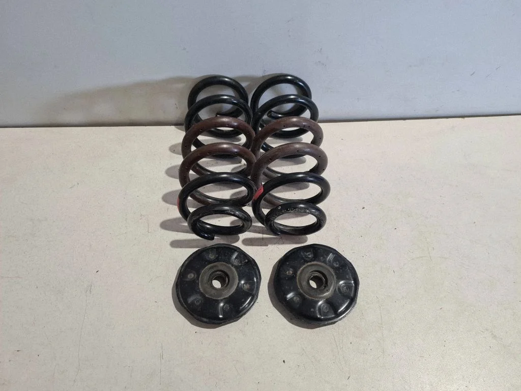 Rear coil spring – Lexus NX (2014-2021)