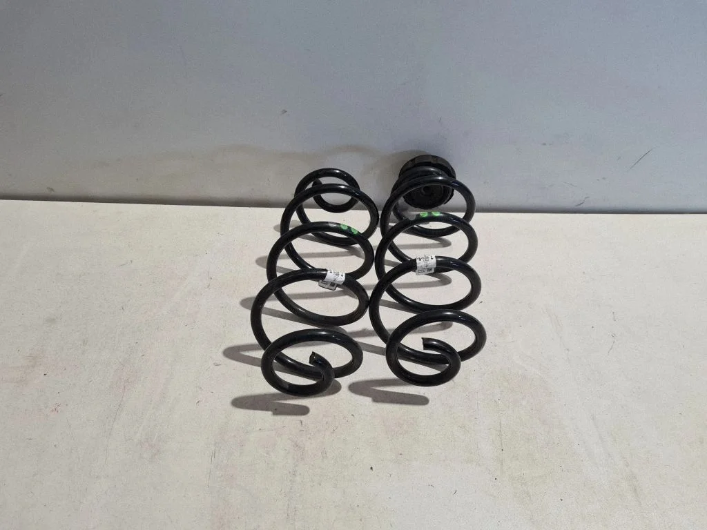 Rear coil spring 95B511121F