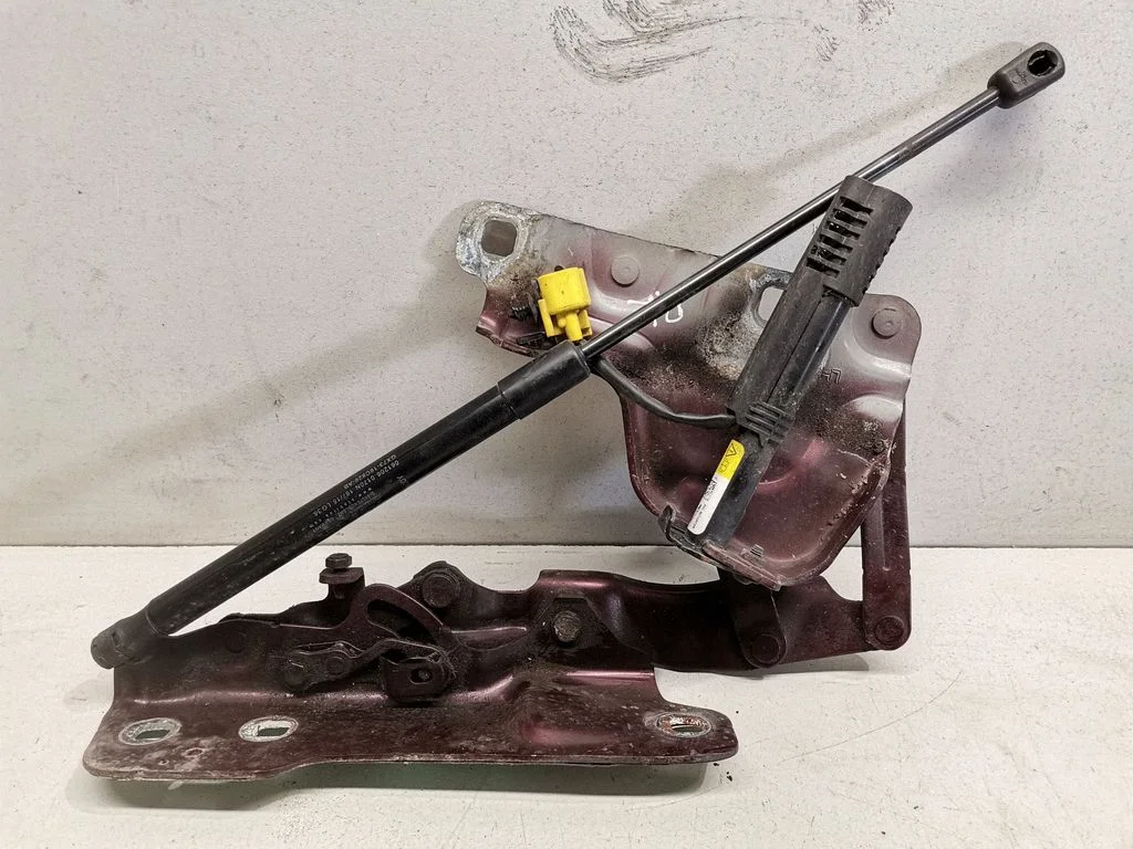Zawiasy maski GX7316801AE
