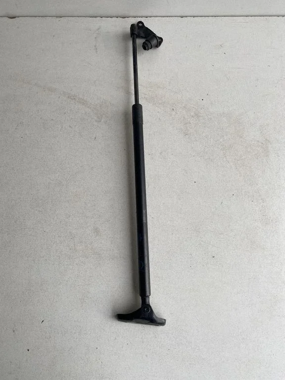 Tailgate/trunk strut/damper 689600WE80A