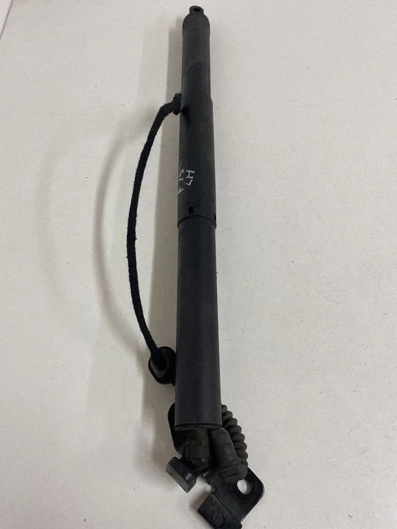 Tailgate/trunk strut/damper 7294469