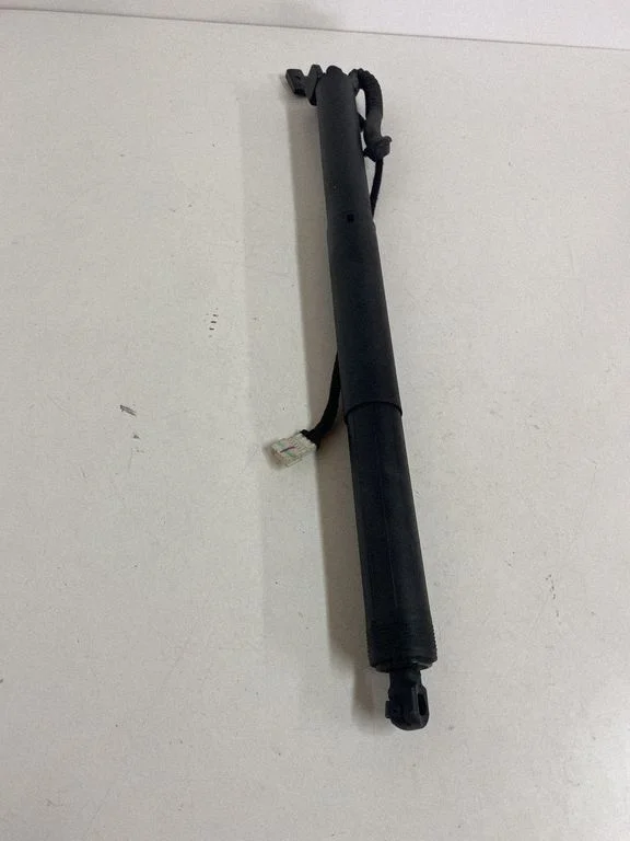 Tailgate/trunk strut/damper 7361878