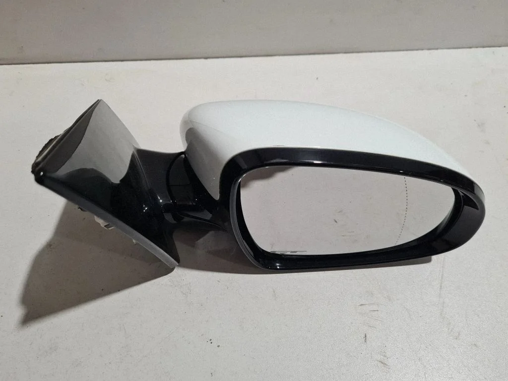 Front door electric wing mirror 87620F1800