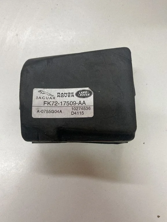 Sensor FK7217509AA