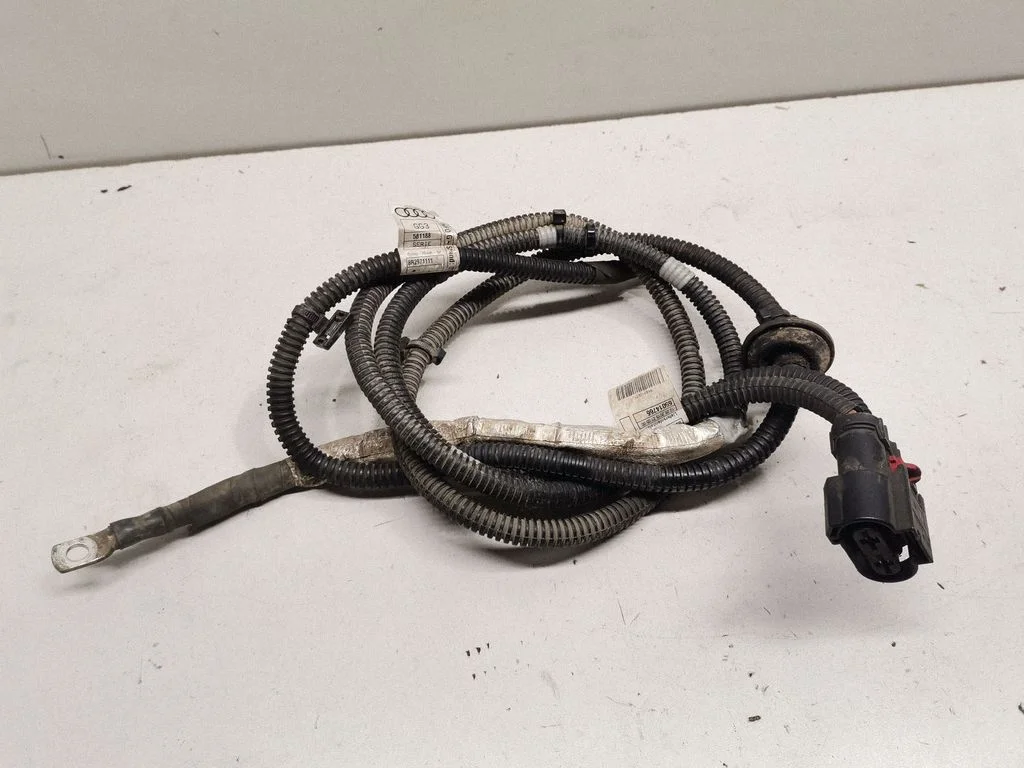 Other wiring loom 8R2971111
