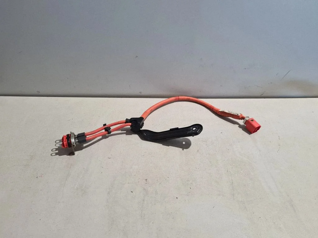 Muud juhtmed / juhtmestik 821H248010