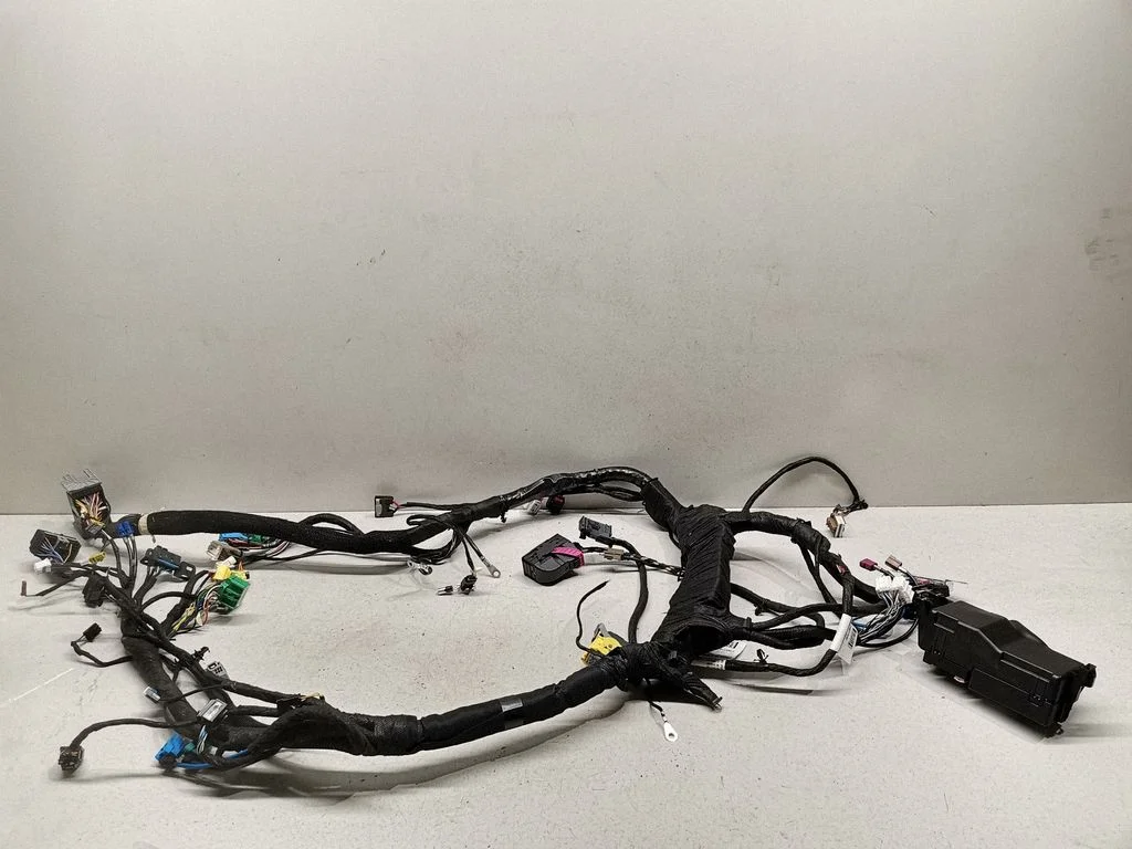 Other wiring loom 15513165