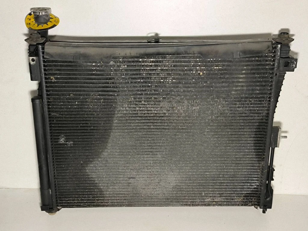 Radiaatorite komplekt 53014787AC