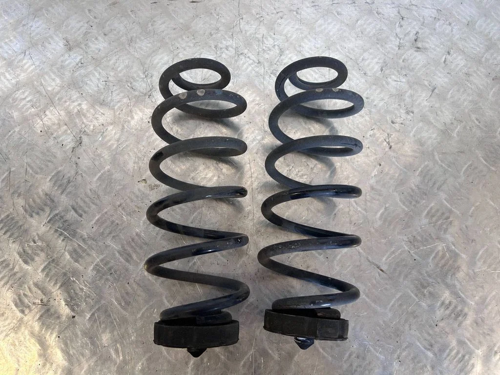 Rear coil spring