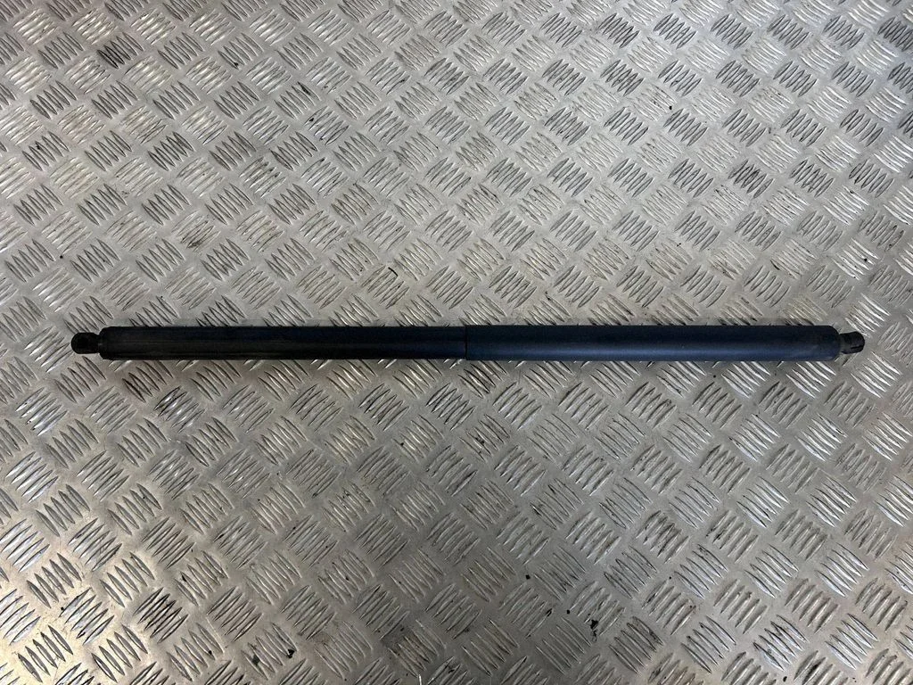 Tailgate/trunk strut/damper