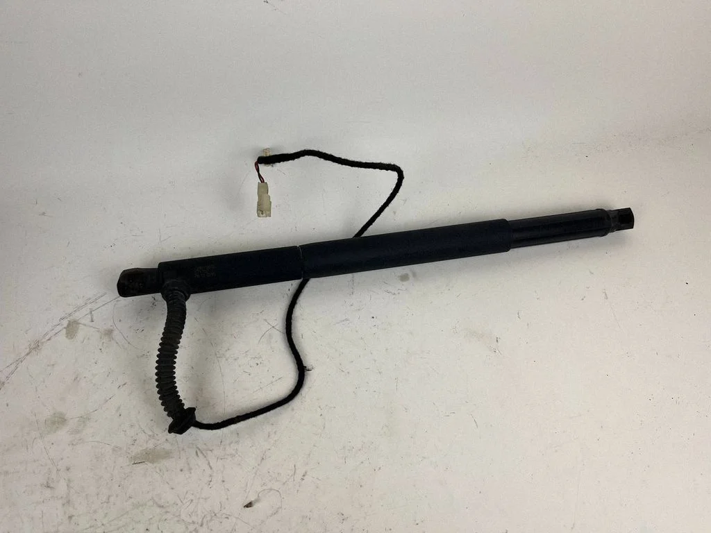 Tailgate/trunk strut/damper 7286118