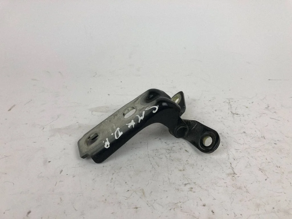 Rear door lower hinge P17196