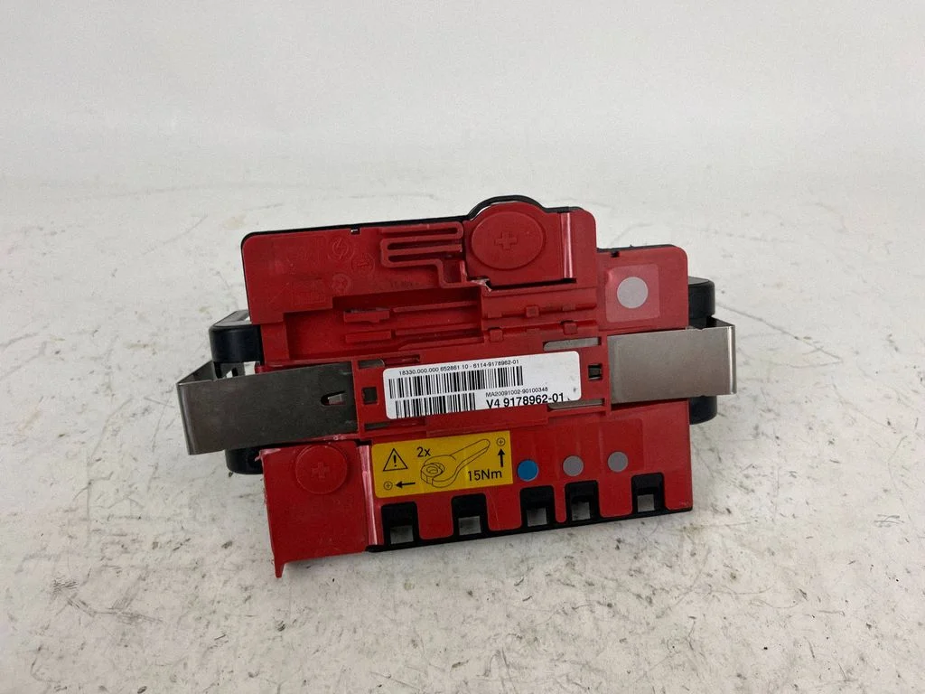 Positive wiring loom 9178962