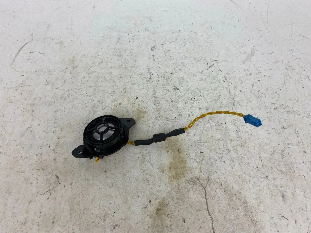 Rear door speaker 6907639