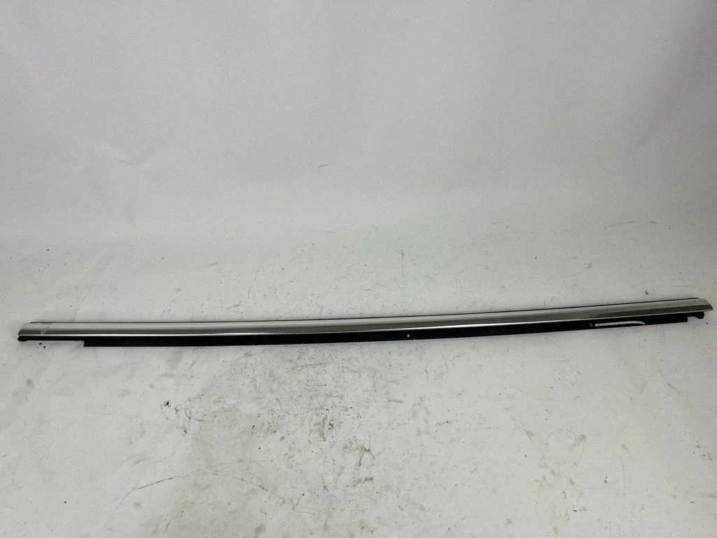 Rear door glass trim molding