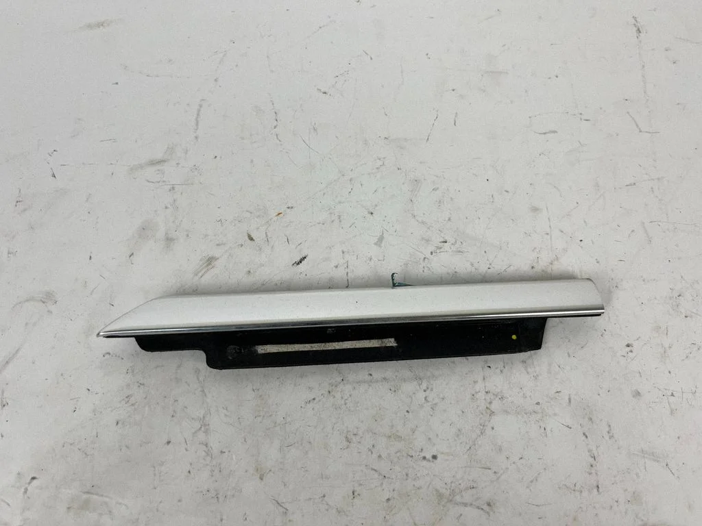 Front door glass trim molding