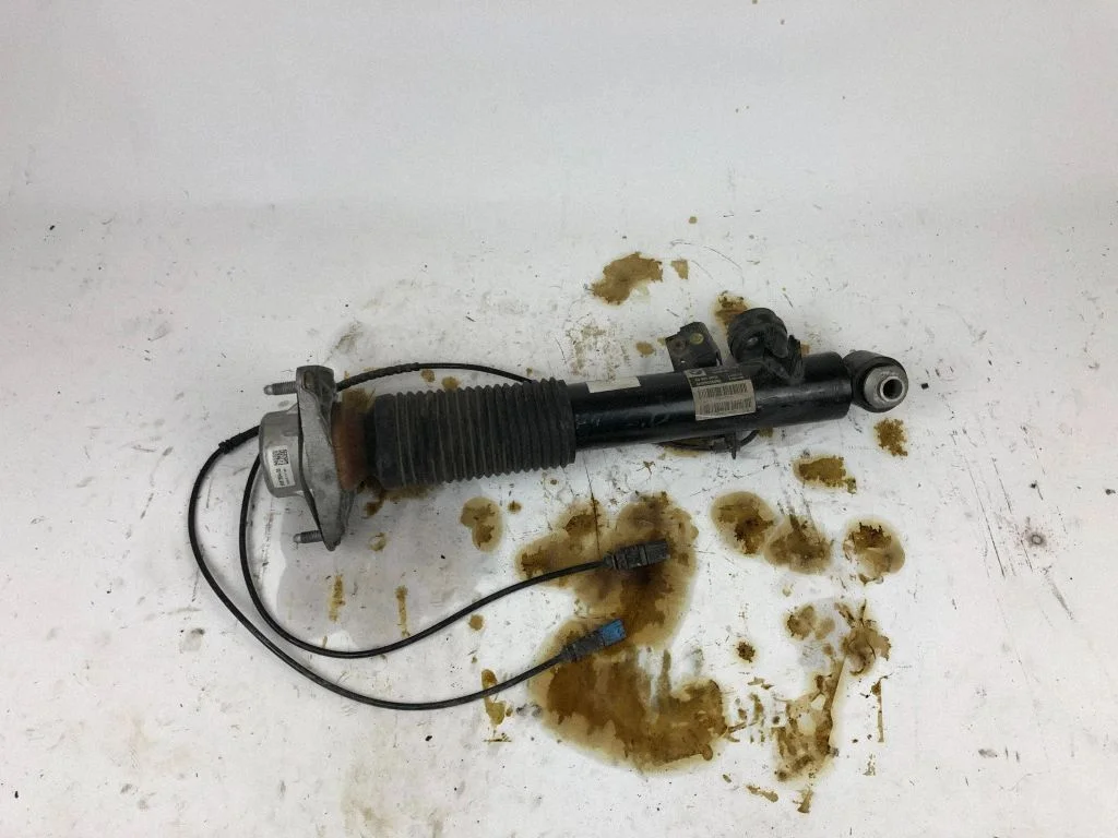 Rear shock absorber/damper 6875090