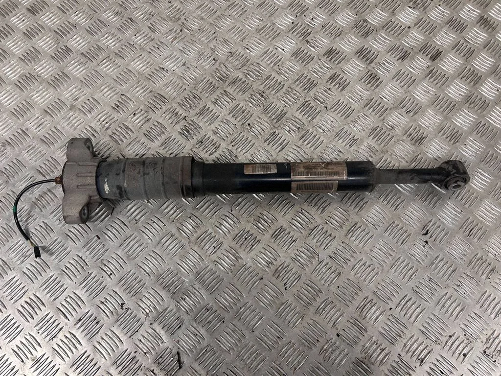 Rear shock absorber/damper 06700054570