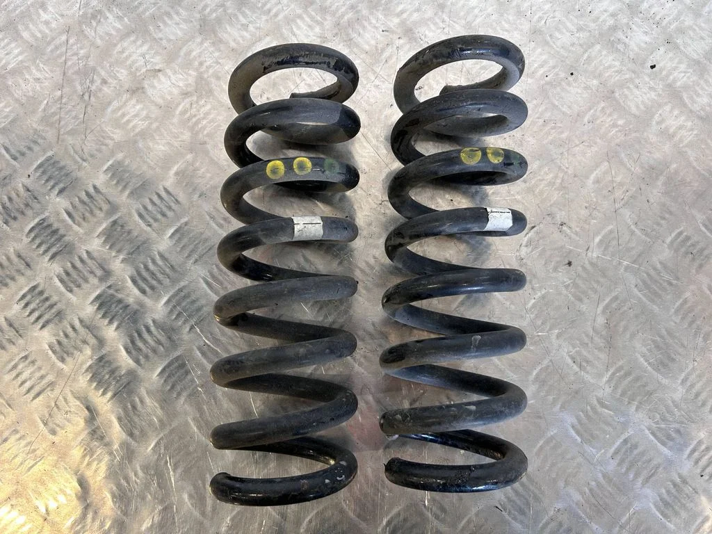 Rear coil spring