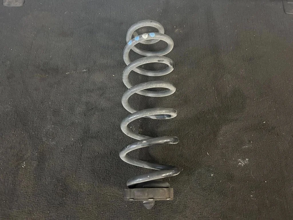 Rear coil spring