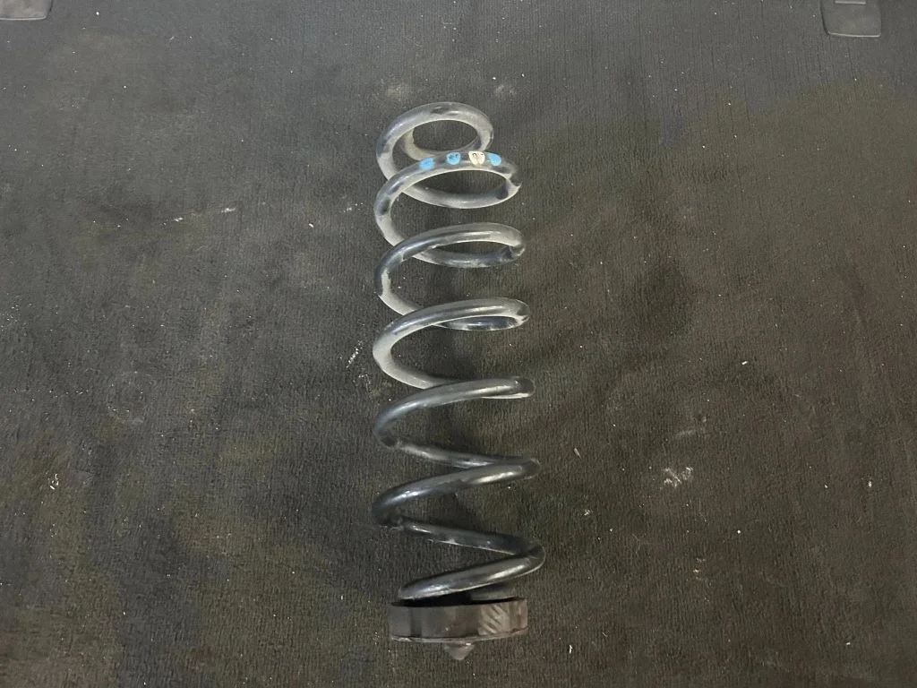 Rear coil spring