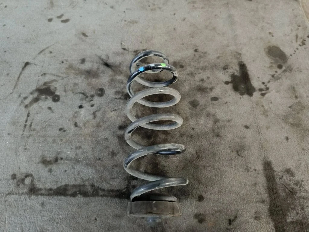 Rear coil spring