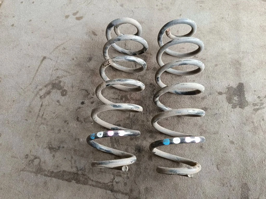 Rear coil spring