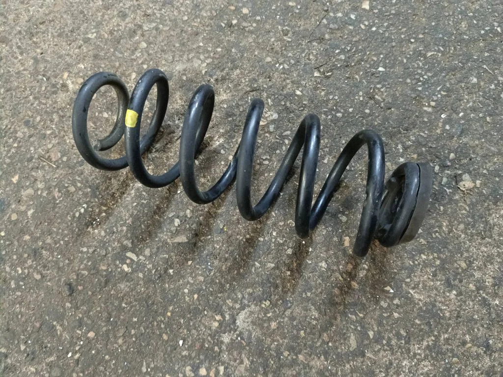 Rear coil spring
