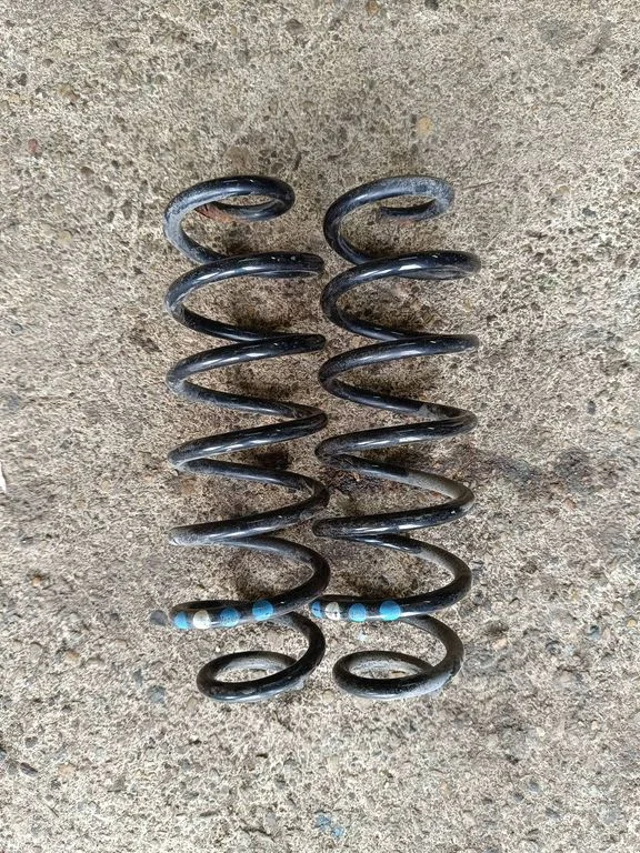Rear coil spring