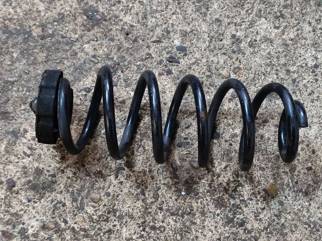 Rear coil spring