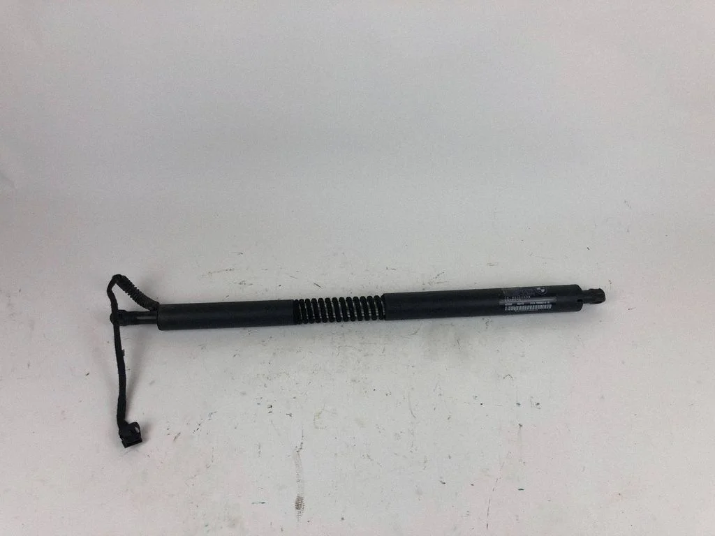 Tailgate/trunk strut/damper 7298983