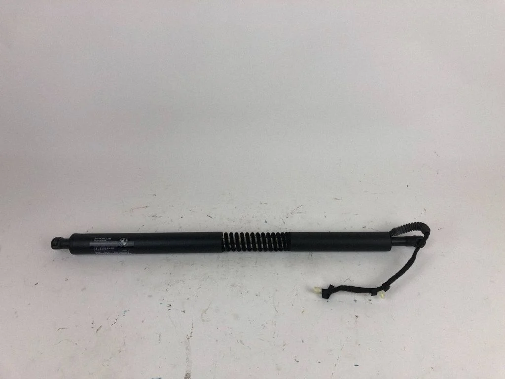 Tailgate/trunk strut/damper 7298984